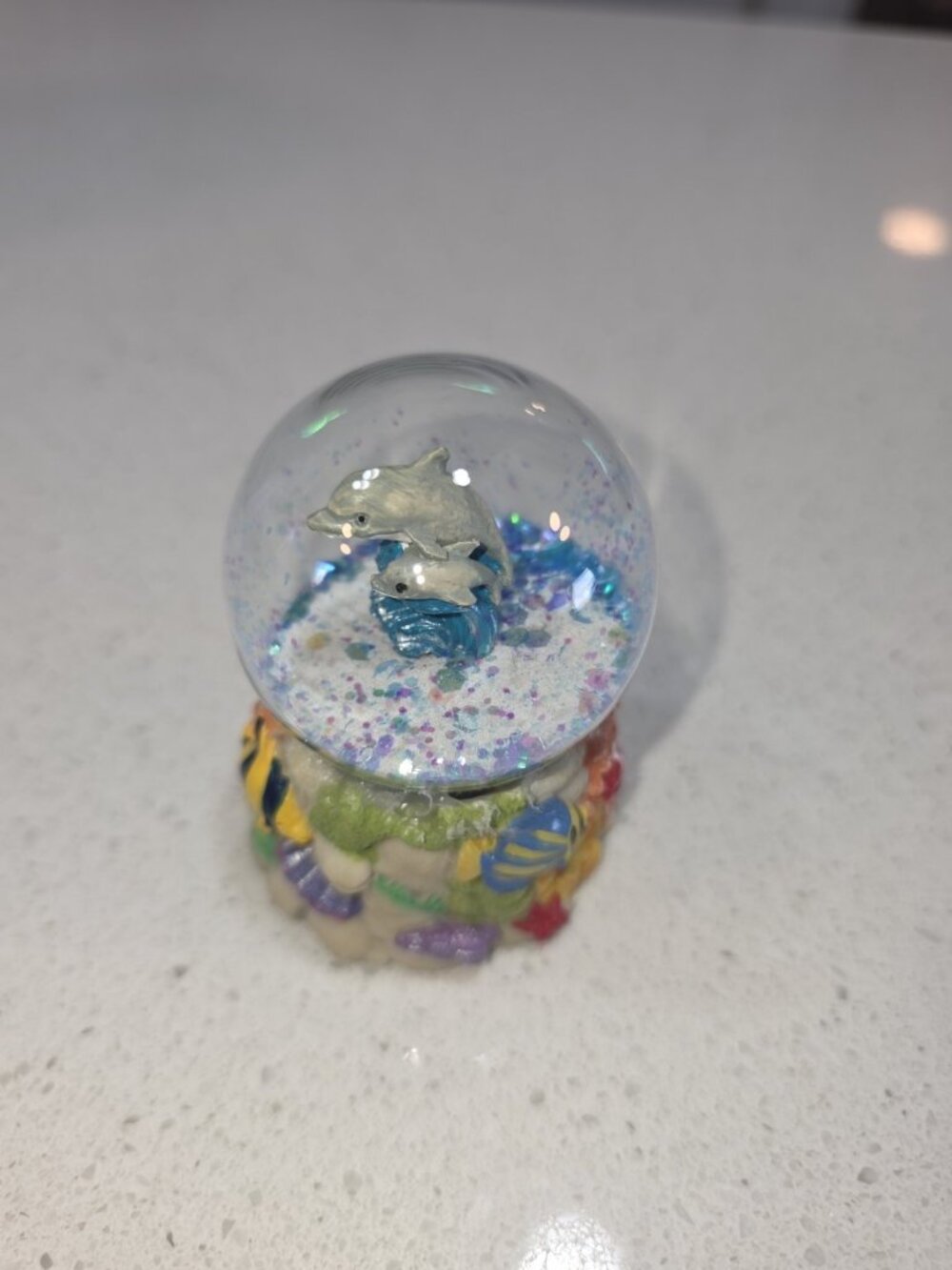 mini snow globe Dolphin